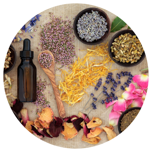 Alternative Medicine Explained