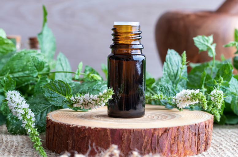 peppermint essential oil with fresh blooming peppermint and leaves